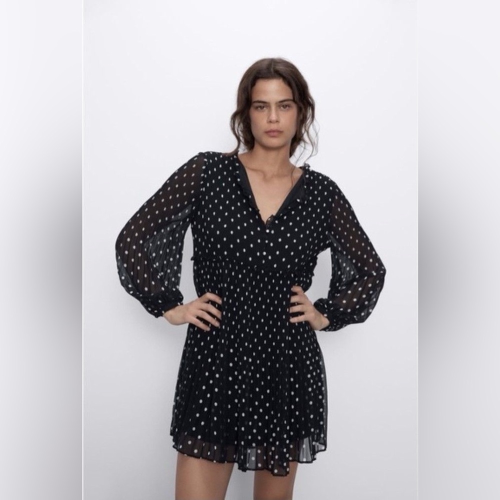 Zara Polka Dot Pleated Dress- Size Large - NWT